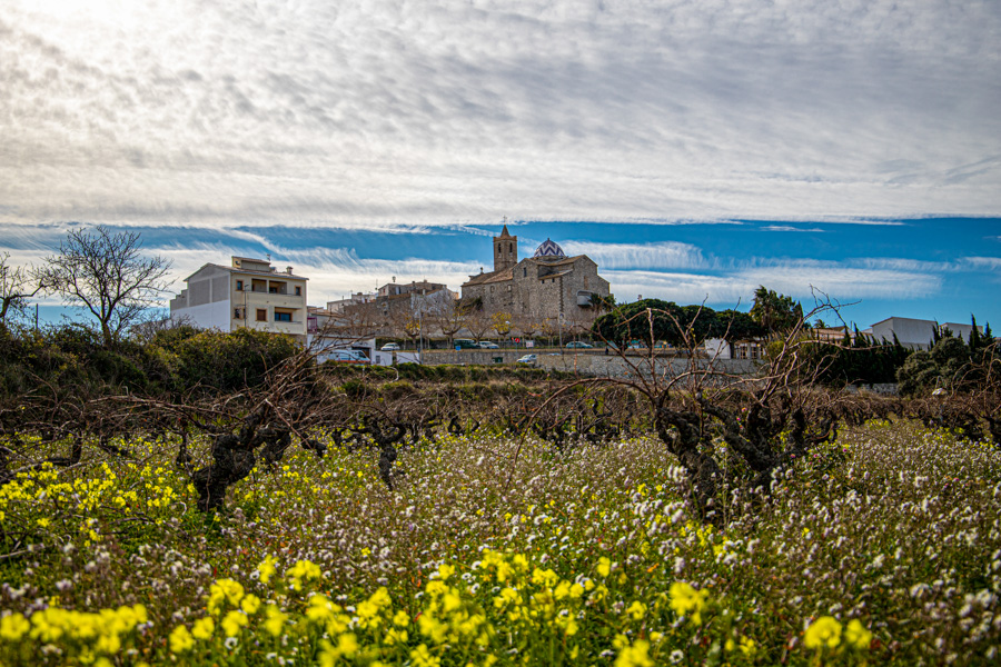 Agricultura y vegetación autóctona — imagen pública