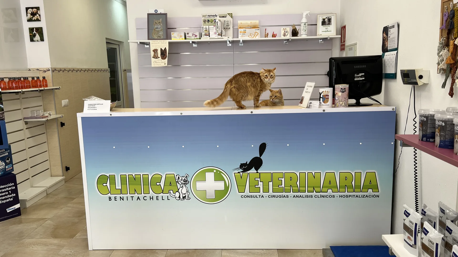 btx-gallery-veterinario-01.webp