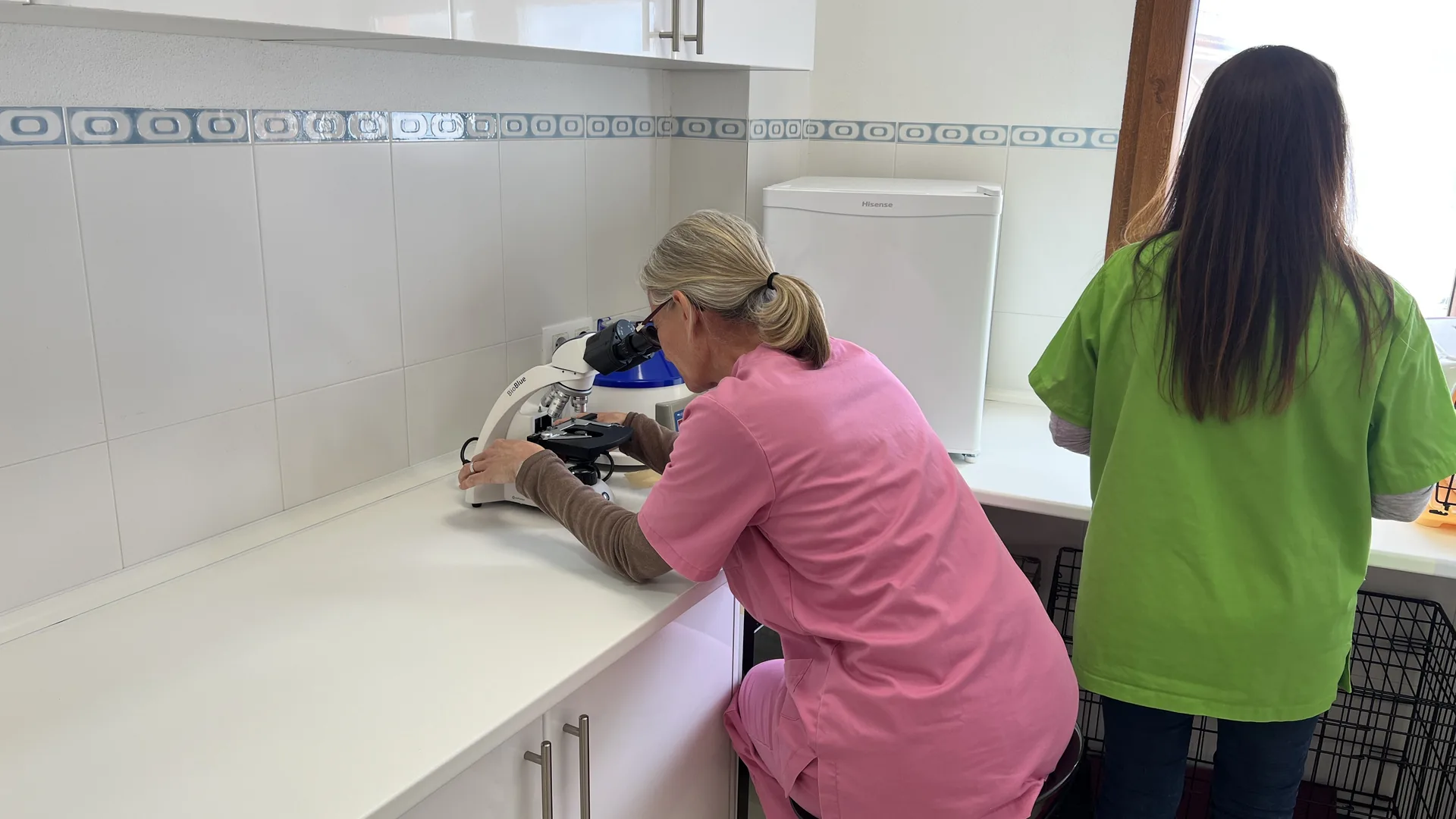 btx-gallery-veterinario-03.webp