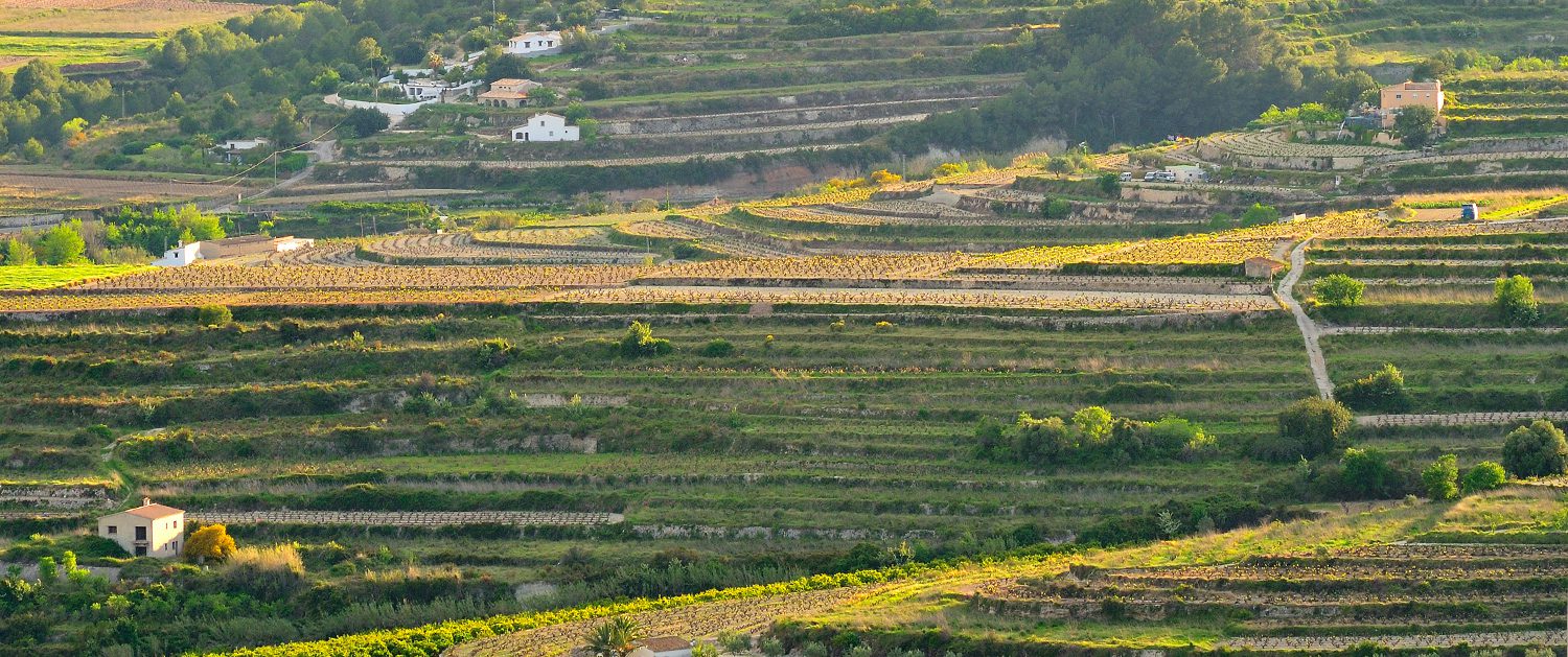 Paisaje rural de la ruta ciclista Calistros-Abiar
